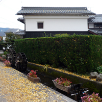 shiga-takatsuki-amamori01.jpg