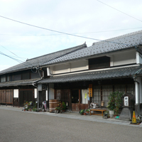 shiga-maibara-samegai01.jpg