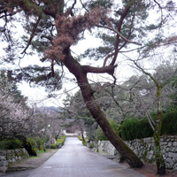 shiga-ohtsu-sakamoto-tsukurimichi01.jpg