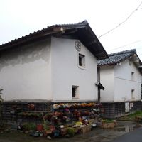kyoto-ine02.jpg