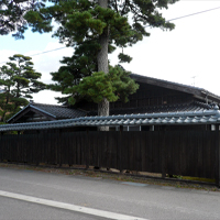 niigata-tainai-momozakihama02.jpg
