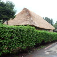 iwate-kanegasaki-suwakoji02.jpg