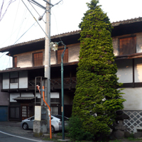 sakuho-yotsuya01.jpg