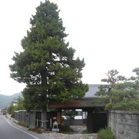 koumi-managashi01.jpg