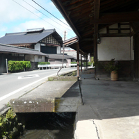 sakuho-hodumi01.jpg