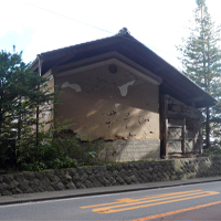 minamimaki01.jpg