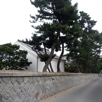 saga-karatsu-jonai01.jpg