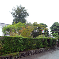 kagoshima-izumi-fumoto01.jpg