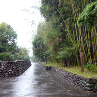 kagoshima-satsumasendai-iriki02.jpg