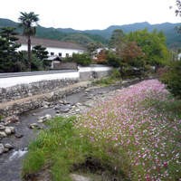 fukuoka-asakura-akidsuki02.jpg