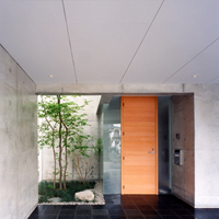 ms03.jpg