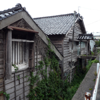 niigata-sado-hamochioishi01.jpg