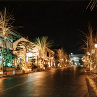 daimon-fuyunohana01.jpg