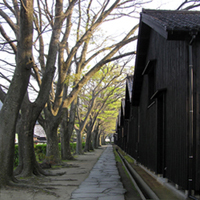 yamagata-sakata-sankyomachi03.jpg