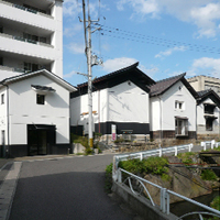 fukushikma-miharu02.jpg