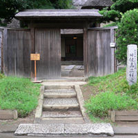 chiba-sakura-kaburagi02.jpg