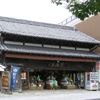 kanagawa-kamakura-wakamiyaohji02.jpg