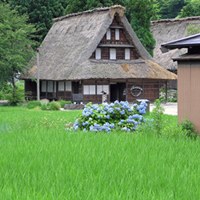 toyama-nanto-suganuma02.jpg