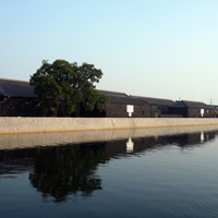 aichi-handa-unga01.jpg