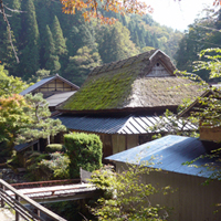 tottori-itaibara01.jpg
