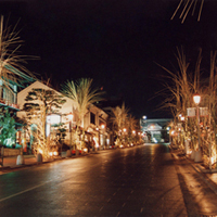 nagano-daimon03.jpg