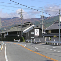 sakaki-nezumi02.jpg