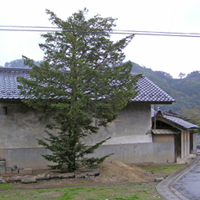 ikusaka02.jpg