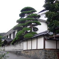 matsumoto-kariyahara02.jpg