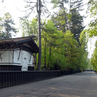 akita-senpoku-kakunodate01.jpg