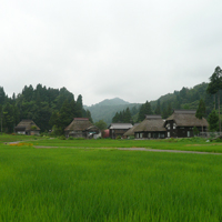 niigata-kashiwazaki-oginosima01.jpg