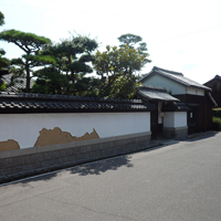 kagawa-tadozu-kachu01.jpg